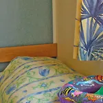 Campsite Tikayan La Celestine 3*
